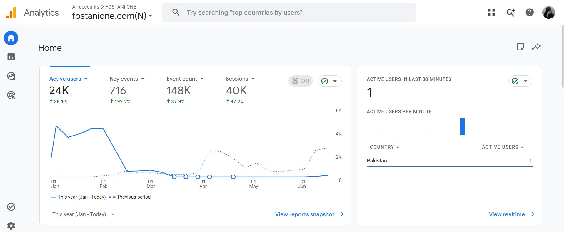 Fostani One Google Analytics organic traffic growth.